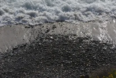 DSC_6985 (Large).JPG